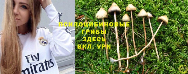 apvp Бугульма